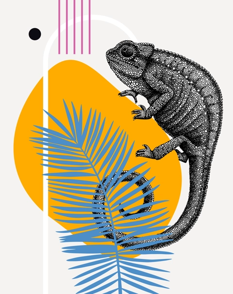 Collage style chameleon vector illustration. Hand-sketched reptile on palm leaf. Trendy design with botanical, geometric shapes, abstract elements. Perfect for print, poster, card. Chameleon wall art